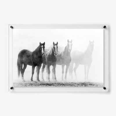 Through the Mist Acrylic Wall Art Print