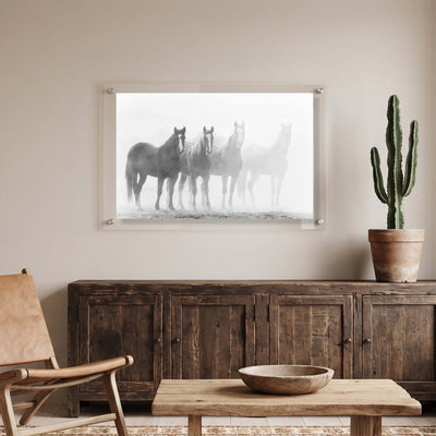 Through the Mist Acrylic Wall Art Print