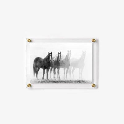 Through the Mist Acrylic Wall Art Print