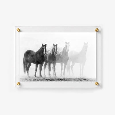 Through the Mist Acrylic Wall Art Print