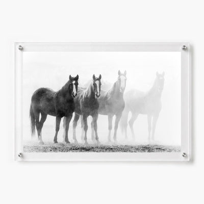 Through the Mist Black & White Acrylic Wall Art Print