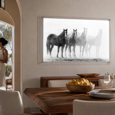 Through the Mist Black & White Acrylic Wall Art Print