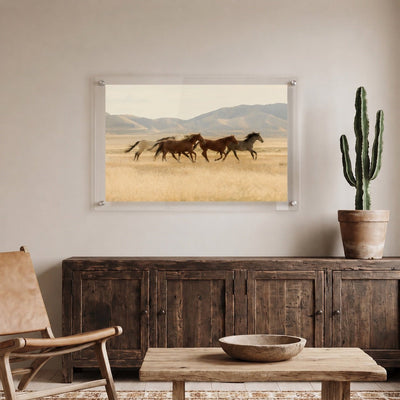Valley Run Acrylic Wall Art Print