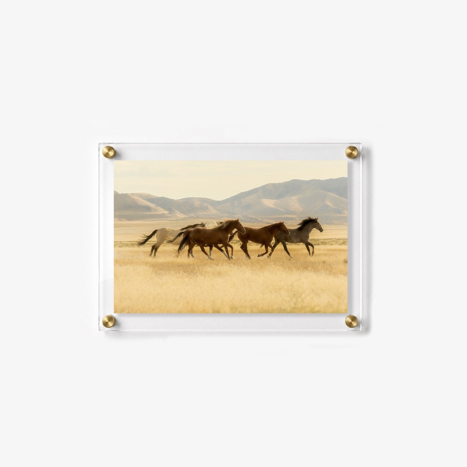 Valley Run Acrylic Wall Art Print