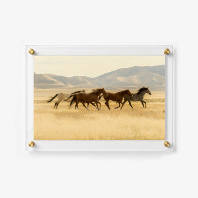 Valley Run Acrylic Wall Art Print