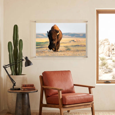 Wild Plains Acrylic Wall Art Print